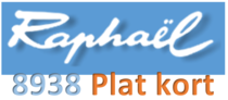 Serie 8938, Plat kort