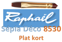 8530 plat kort