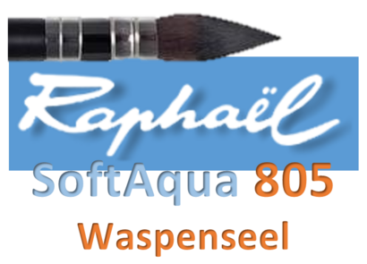 Serie 805 Waspenseel. Lavis en details