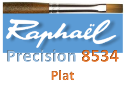 8534 Plat