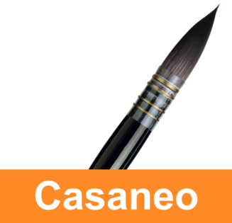 Casaneo