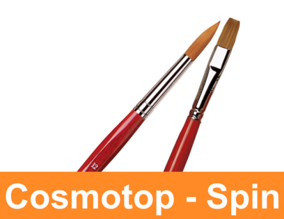 CosmoTop - Spin