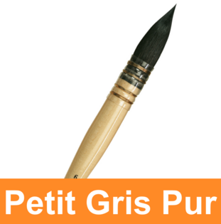 Petit Gris Pur