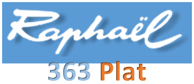 Serie 363, Plat