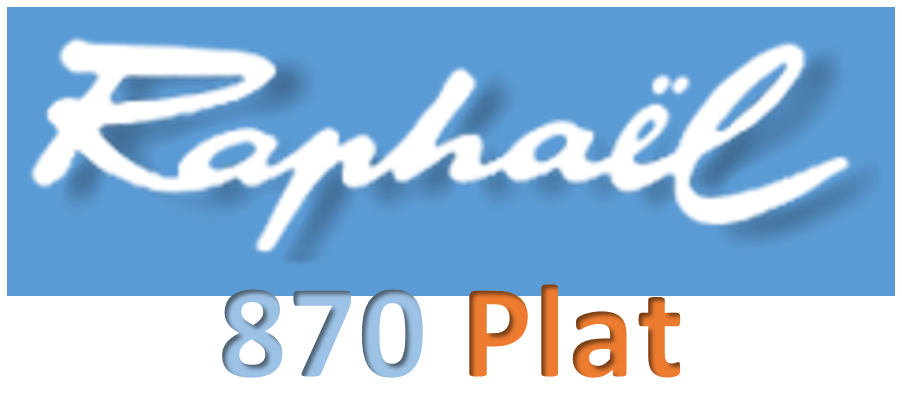 Serie 870, Plat