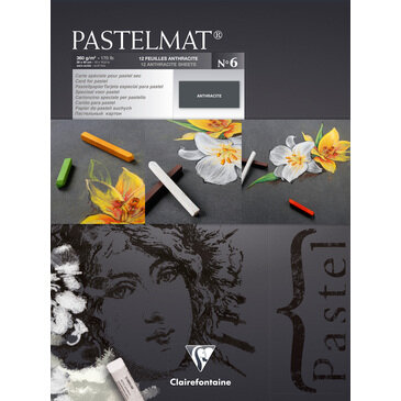 Pastelmat No 6 Pastel Papier verlijmd Antraciet fijne structuur 12 vellen van Clairefontaine 360 grams 30 x 40 cm