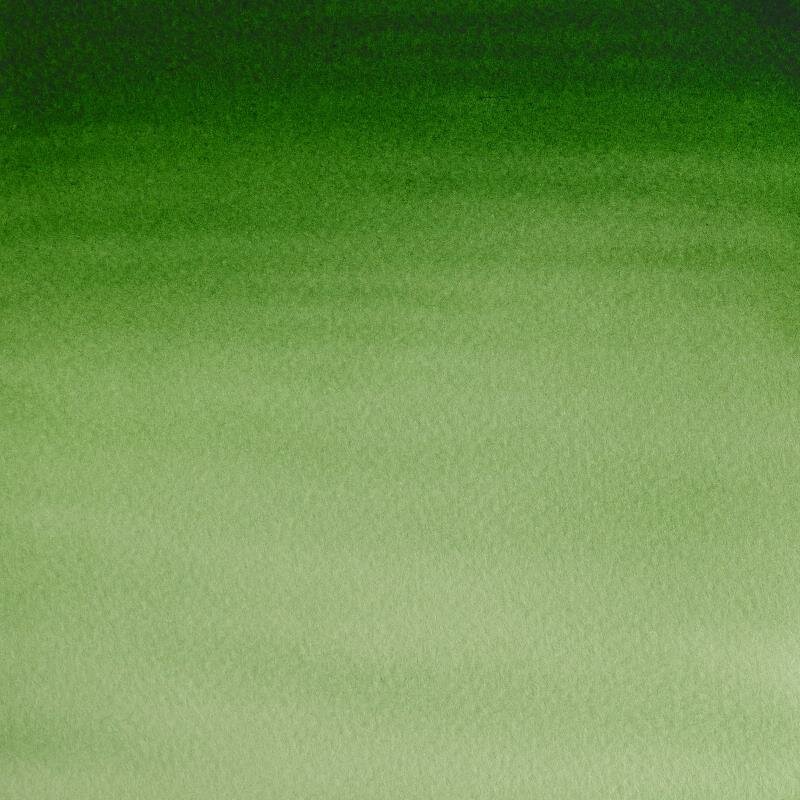 Hooker's Green Light 8 ML van Winsor &amp; Newton Cotman Water Colours Kleur 314