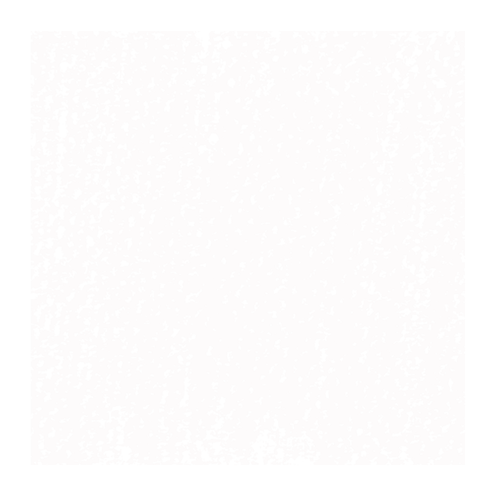 Wit 5 Rembrandt Softpastel van Royal Talens Kleur 100.5