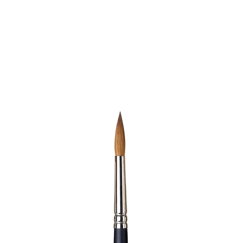 No 8 Rond korte steel Winsor &amp; Newton Professioneel Artists Water Colour Kolinsky Sable Penseel