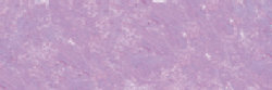 Blauwachtig Purper Extra soft pastels / Pastel &agrave; l'ecu Sennelier Kleur 284