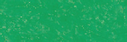 Asgroen Extra soft pastels / Pastel &agrave; l'ecu Sennelier Kleur 347