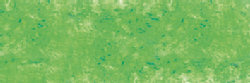 Barietgroen No2 Extra soft pastels / Pastel &agrave; l'ecu Sennelier Kleur 761