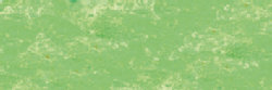Barietgroen No3 Extra soft pastels / Pastel &agrave; l'ecu Sennelier Kleur 762