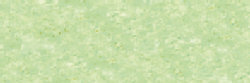 Barietgroen No4 Extra soft pastels / Pastel &agrave; l'ecu Sennelier Kleur 763