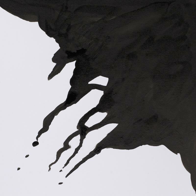 Liquid Indian Ink Drawing Ink van Winsor &amp; Newton 14 ML Kleur 754