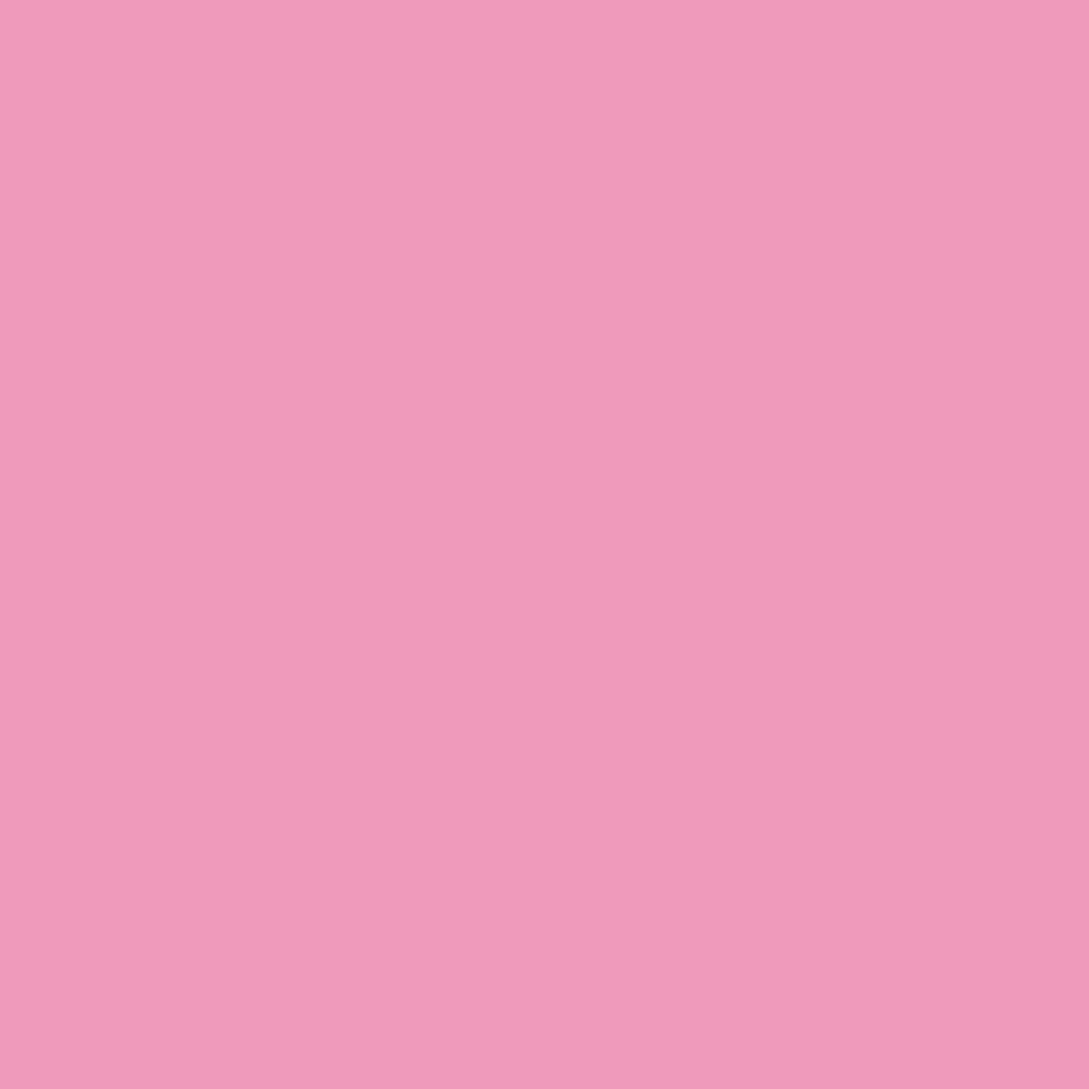 Rose Pink Winsor &amp; Newton Promarker Brush Kleur M727