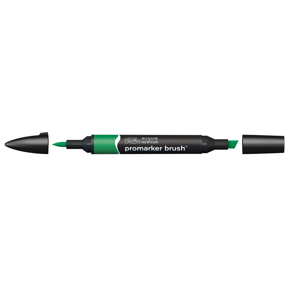 Lush Green Winsor &amp; Newton Promarker Brush Kleur G756