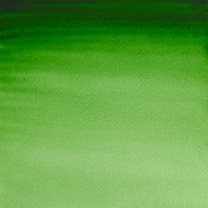 Hookers Green (S1) Professioneel Aquarelverf van Winsor &amp; Newton 5 ml Kleur 311