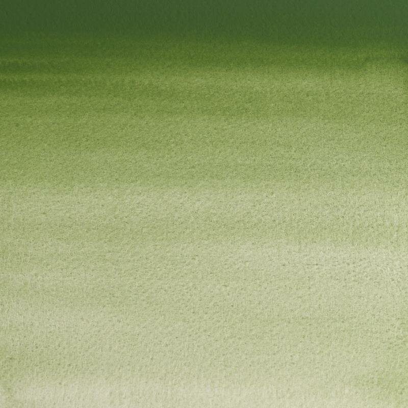 Oxide Of Chromium (S3) Professioneel Aquarelverf van Winsor &amp; Newton 5 ml Kleur 459