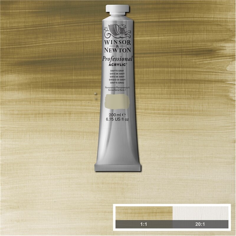 Davy's Gray Professional Acrylic Winsor &amp; Newton 200 ml Kleur 217
