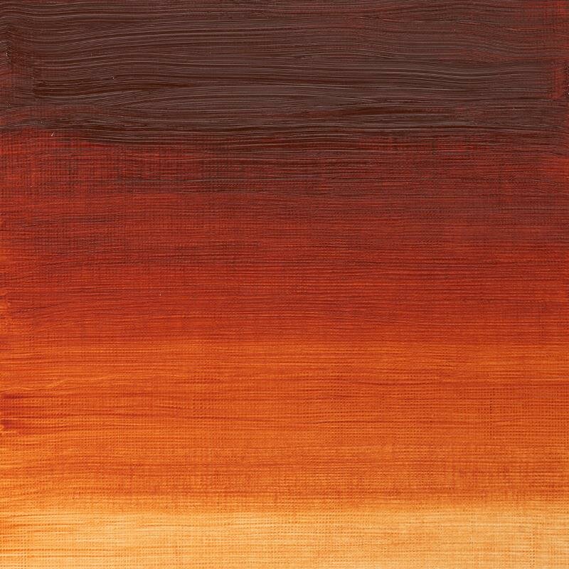Burnt Sienna Winton Olieverf van Winsor &amp; Newton 200 ML Kleur 074