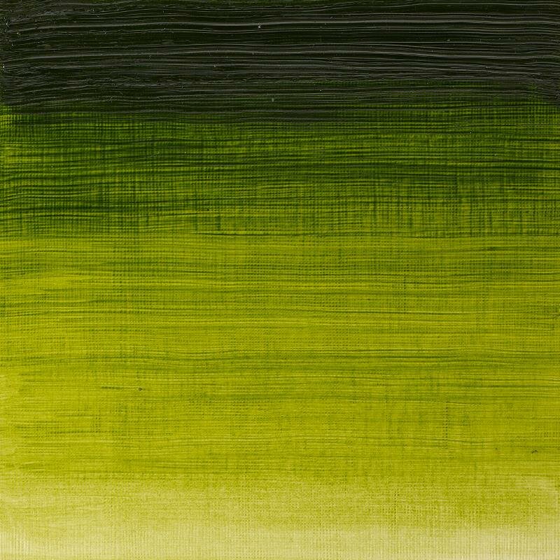 Sap Green Winton Olieverf van Winsor &amp; Newton 200 ML Kleur 599
