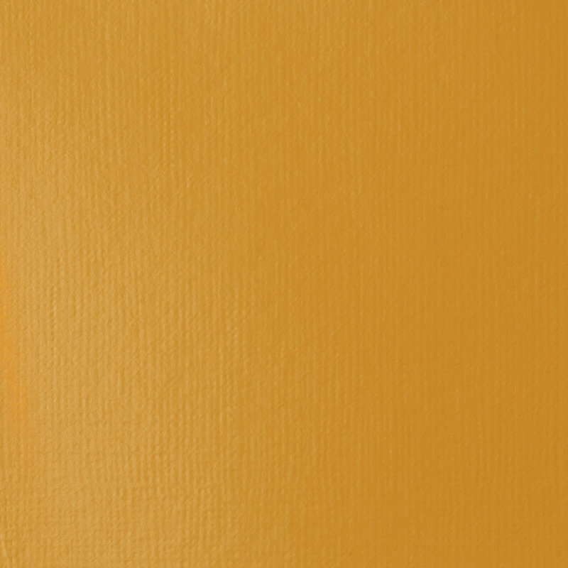 Naples Yellow Hue Basics Acrylverf van Liquitex 118 ml Kleur 601