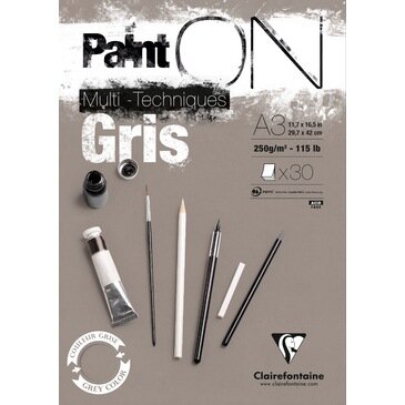 A3 Paint'ON Gris / Grijs 30 vellen 250 grams van Clairefonaine