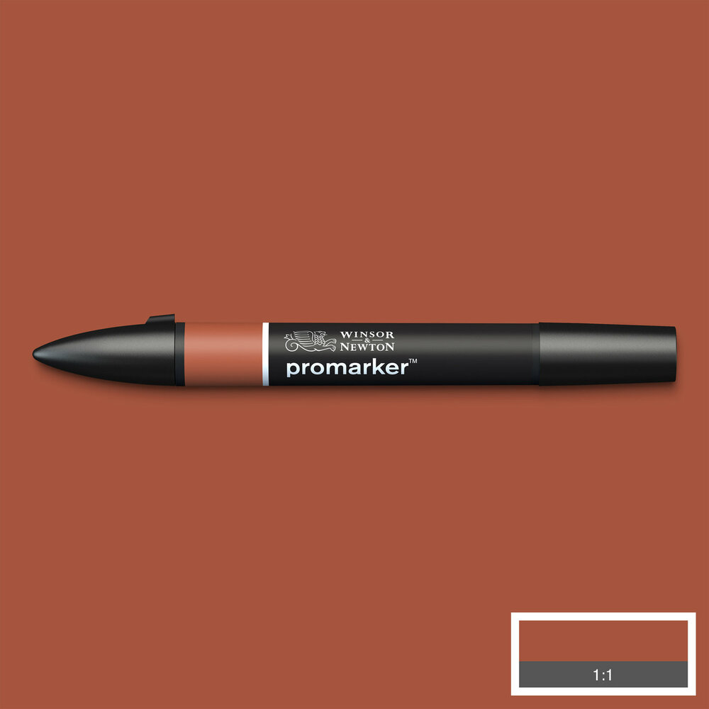 Burnt Umber ProMarker Winsor &amp; Newton Kleur R646