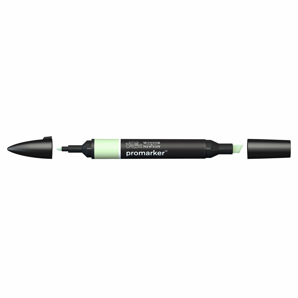 Meadow Green ProMarker Winsor &amp; Newton Kleur G339