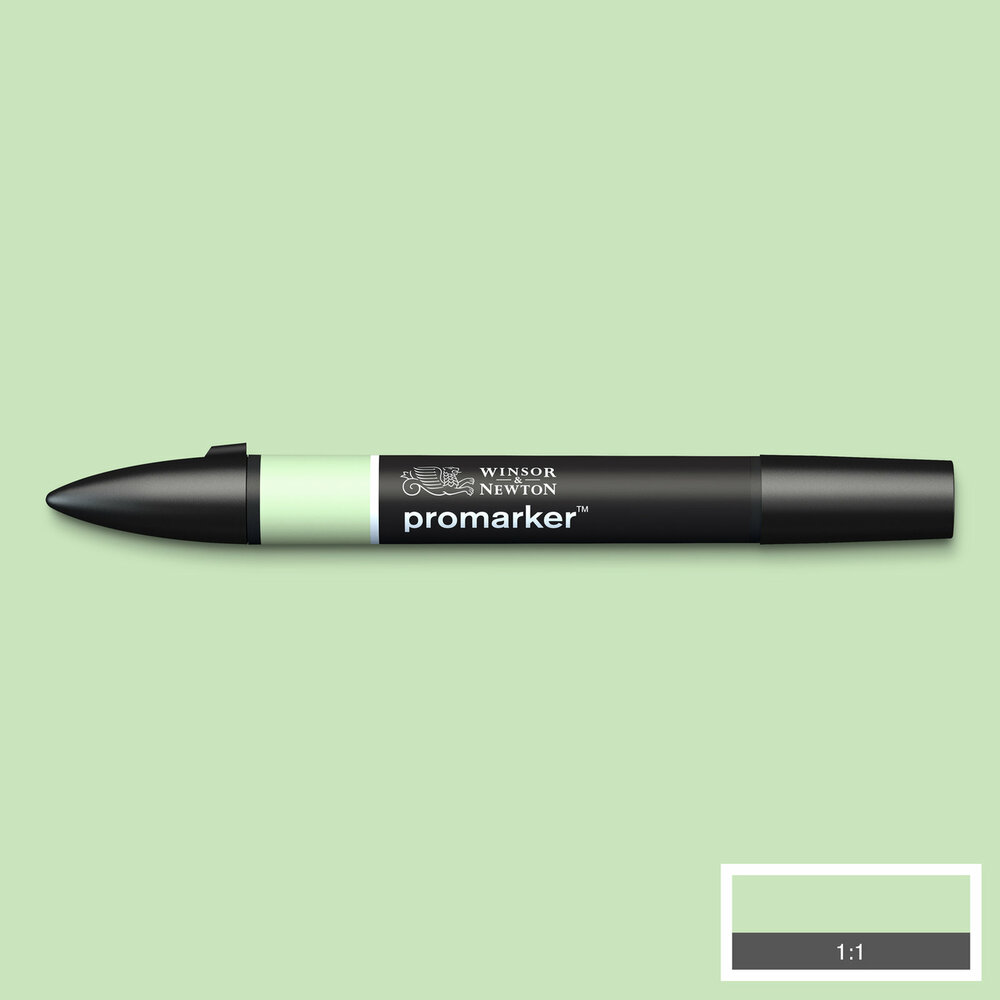 Meadow Green ProMarker Winsor &amp; Newton Kleur G339