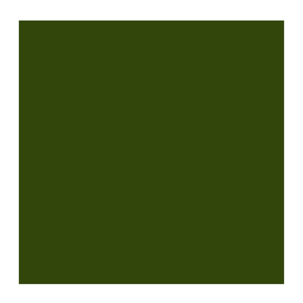 Olijfgroen Cobra Artist watermengbare olieverf 40 ML (S 3) Kleur 620