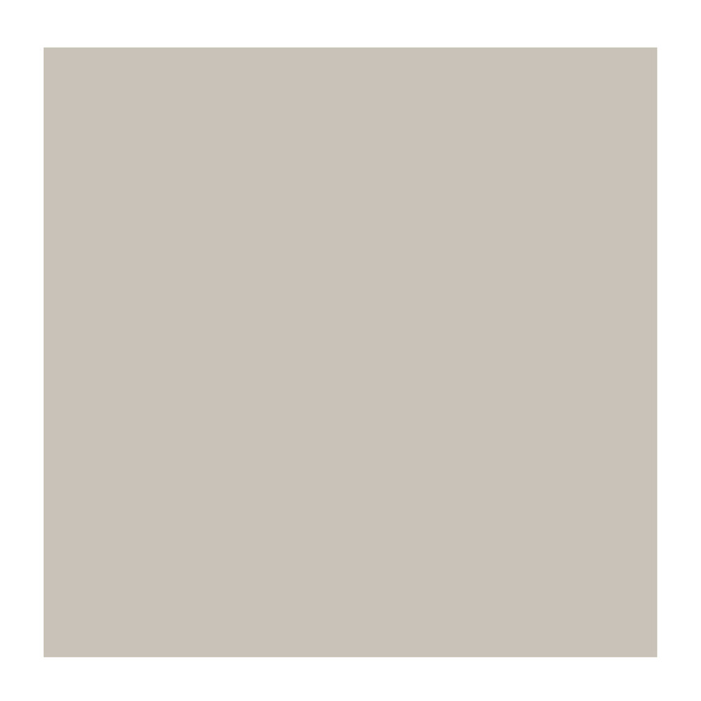 Zilver Cobra Artist watermengbare olieverf 40 ML (S 3) Kleur 800