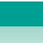 Beryl Groen / Beryl Green Caran d Ache Luminance 6901 Kleur 214