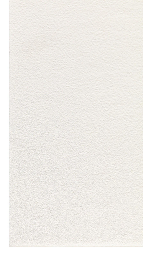 Close-up van de witte, fluweelachtige en hechtende structuur van het Clairefontaine Pastelmat No 3 pastelpapier. 96029C 3329680