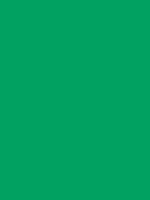 Carr&eacute; Krijt Cont&eacute; &agrave;&nbsp;Paris Dark Green Kleur 002