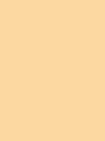 Pale Peach Derwent Procolour kleurpotlood Kleur 16