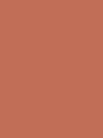 Light Mahogany - Copic Sketch Marker Kleur E07