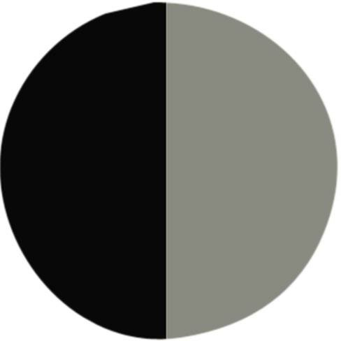 Black Gesso 237 ML Zwarte Gesso Liquitex