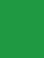 Permanentgroen middel Van Gogh Acrylic Colours / Acrylverf Royal Talens 40 ML Kleur 614