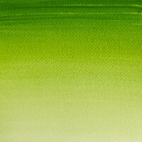 Sap Green half napje van Winsor &amp; Newton Cotman Water Colours Kleur 599