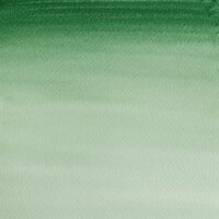 Hooker's Green Dark 8 ML van Winsor &amp; Newton Cotman Water Colours Kleur 312