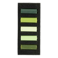 Weelderige Groenen set met 5 halve Rembrandt Softpastels
