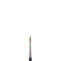 No 4 Rond korte steel Winsor &amp; Newton Professioneel Artists Water Colour Kolinsky Sable Penseel