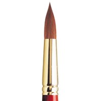 No 20 Serie 101 Winsor &amp; Newton Sceptre Gold II Penseel