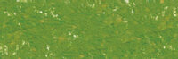 Bladerengroen Extra soft pastels / Pastel &agrave; l'ecu Sennelier Kleur 202
