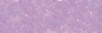 Blauwachtig Purper Extra soft pastels / Pastel &agrave; l'ecu Sennelier Kleur 284