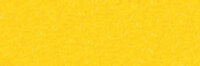 Cadmiumgeel Licht Extra soft pastels / Pastel &agrave; l'ecu Sennelier Kleur 298