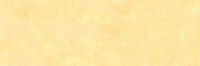 Briljantgeel Extra soft pastels / Pastel &agrave; l'ecu Sennelier Kleur 343