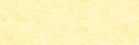 Briljantgeel Extra soft pastels / Pastel &agrave; l'ecu Sennelier Kleur 344